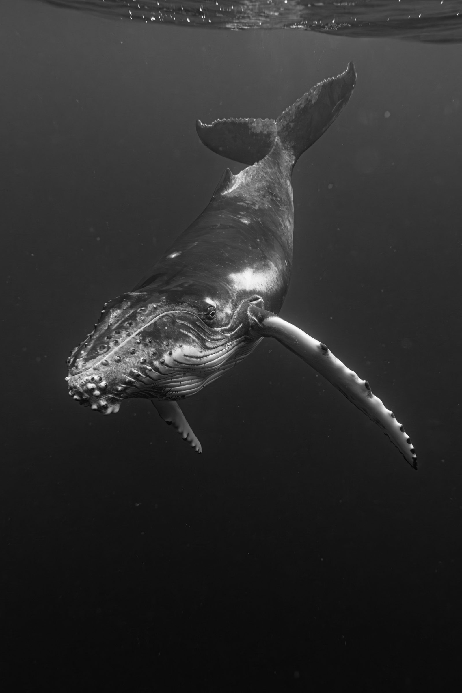 Underwater