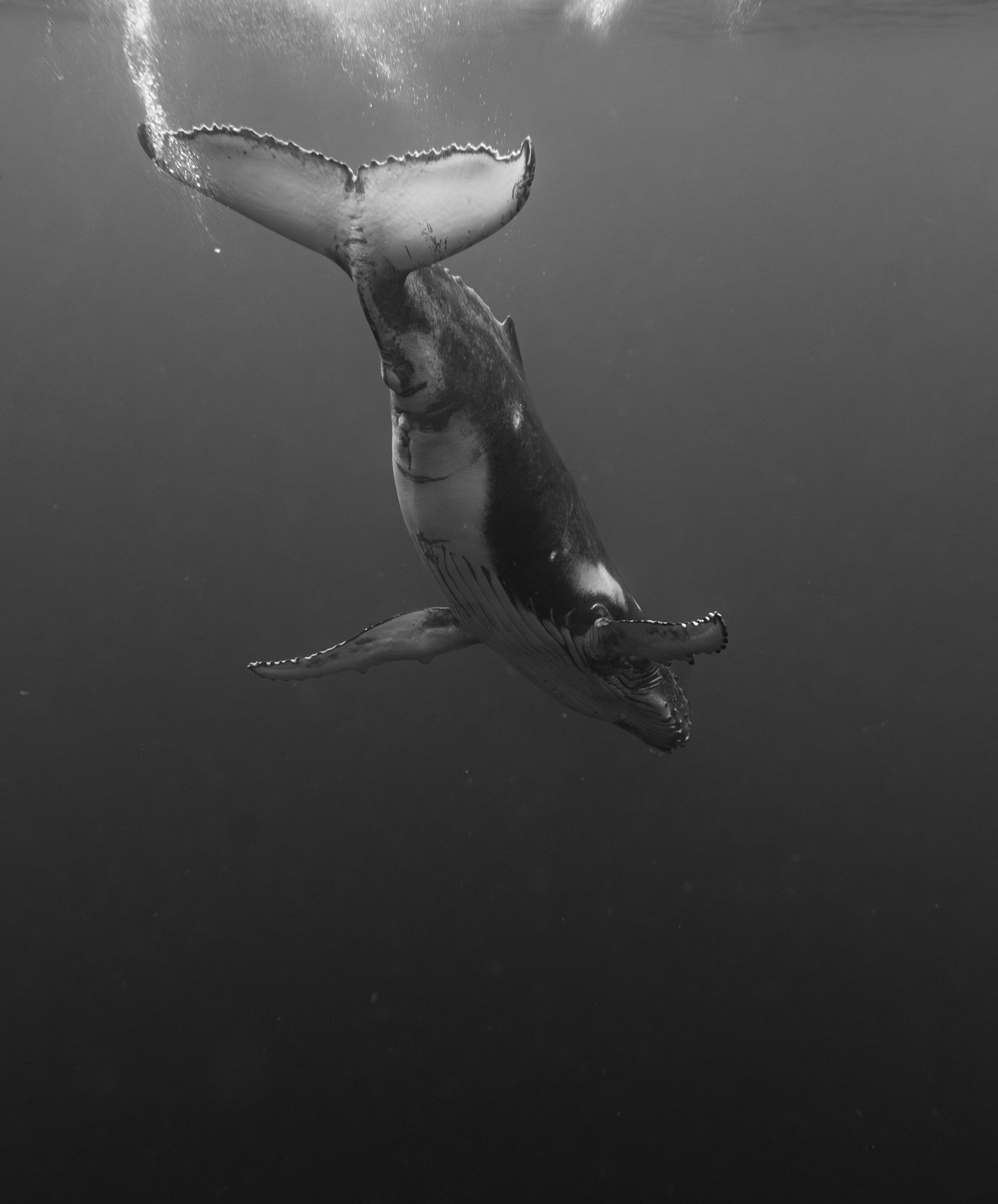 Underwater