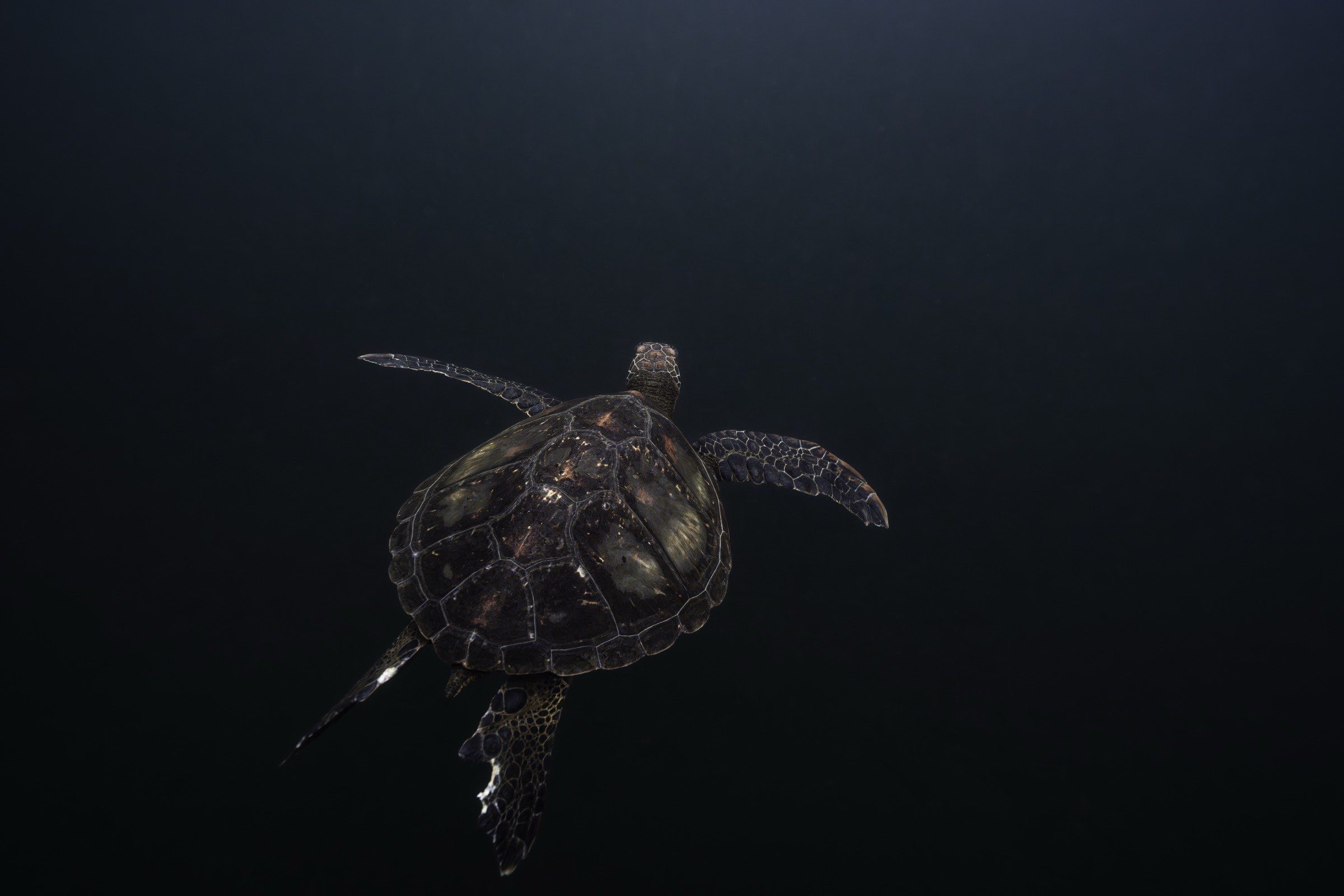 Underwater