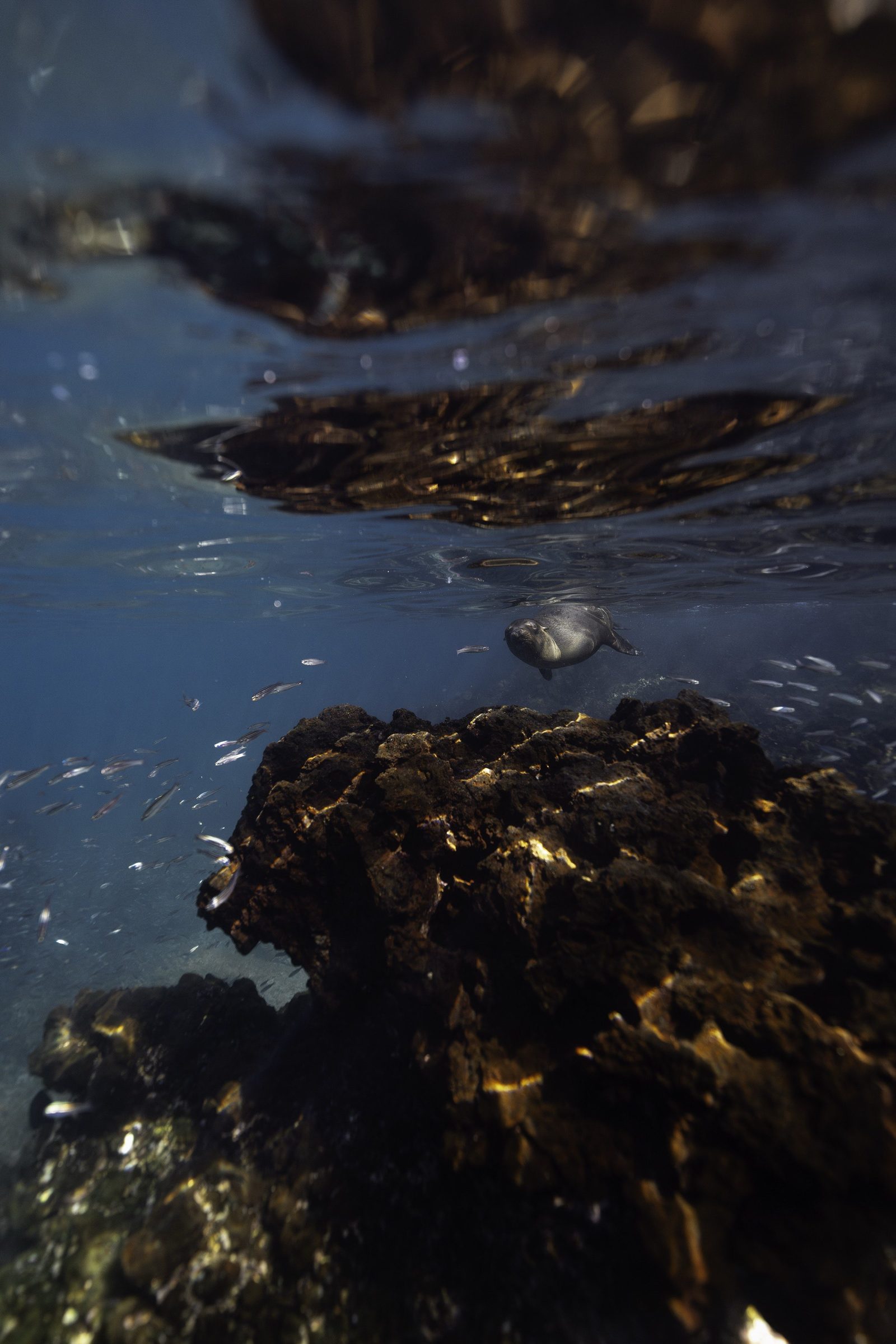 Underwater