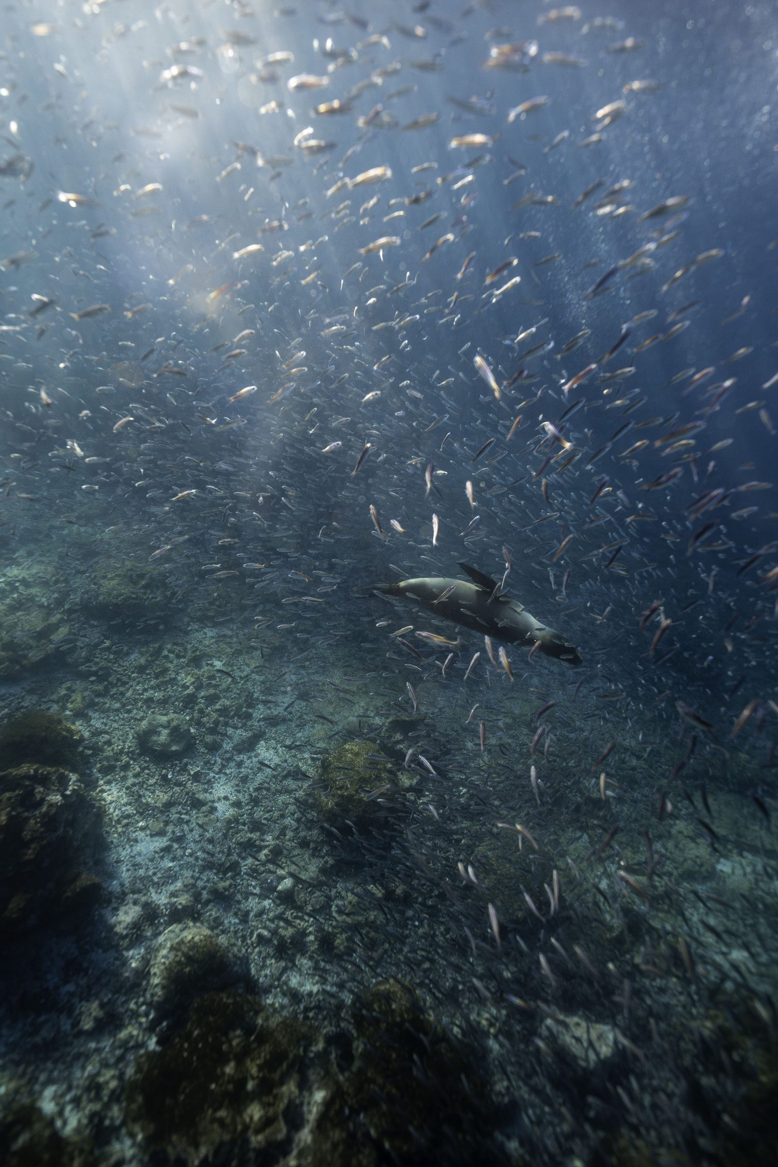 Underwater